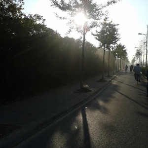 周冬雨被揉到高潮下不了床
